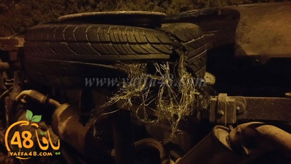 acc lud neae (4).jpg